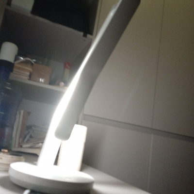 罗布罗斯好玩