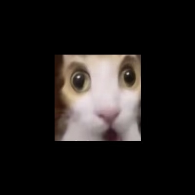 杰斯贝尔