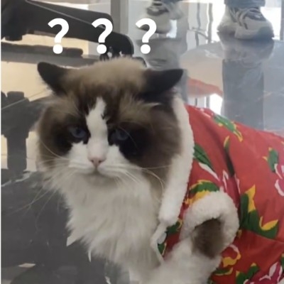 十七