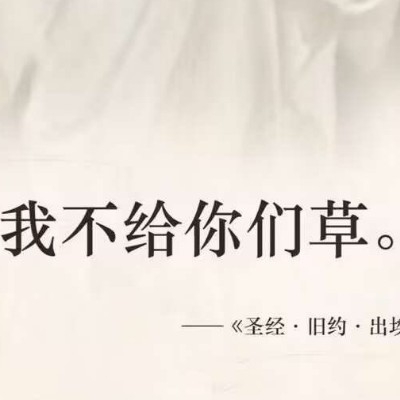 群众磕到了iuo68