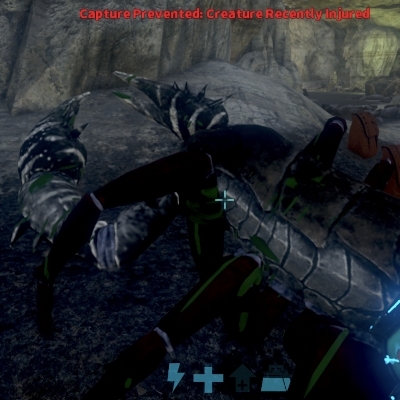 炸鸡爱喝酸奶ql40