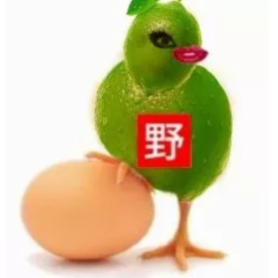 北晨