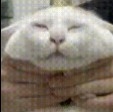 黑暗骑士