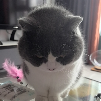 宝宝太好吃了吧！rl753