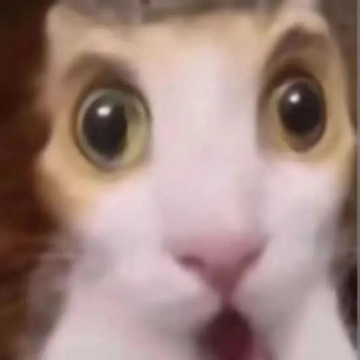 这不我账号吗？