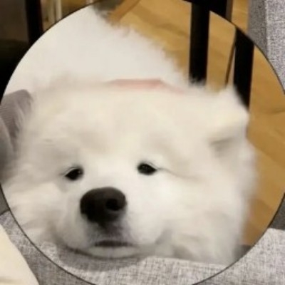 小小的巴啦啦小魔仙ckw77