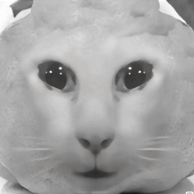 恶语伤猫心