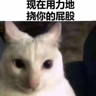可怜的社畜