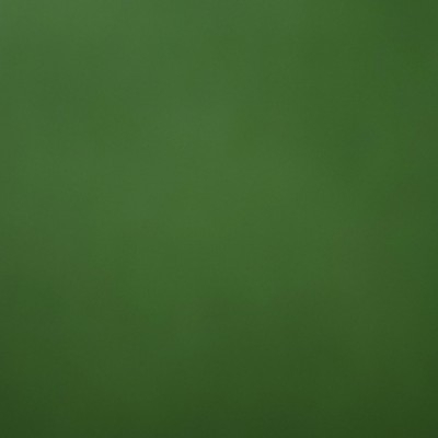 绿色猫粮食多少？