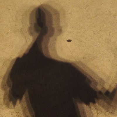 努力发光的疯批美人x2