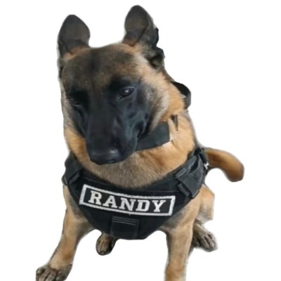 小白的小白菜jbc0