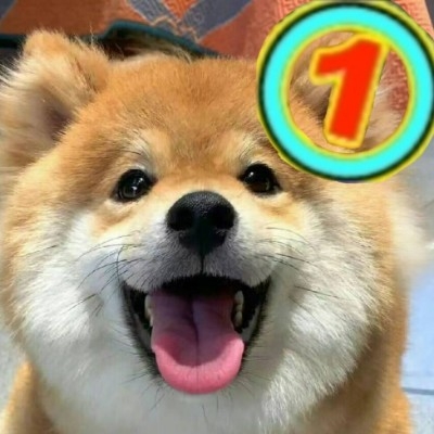 围神洗
