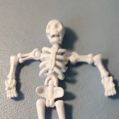 汉堡BOY