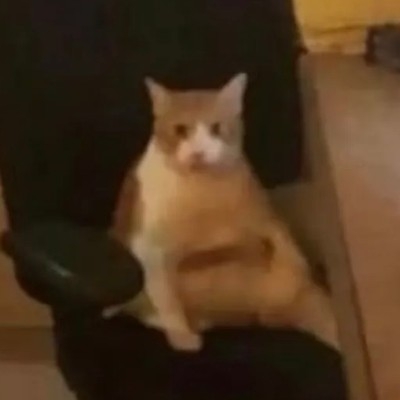 AAA土豆批发