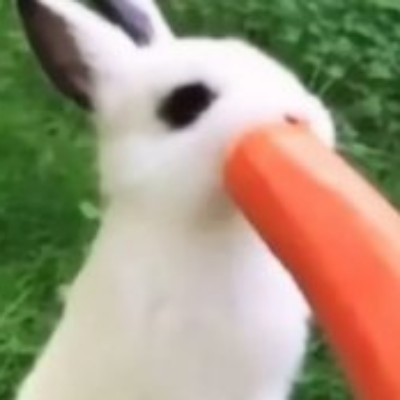皱眉