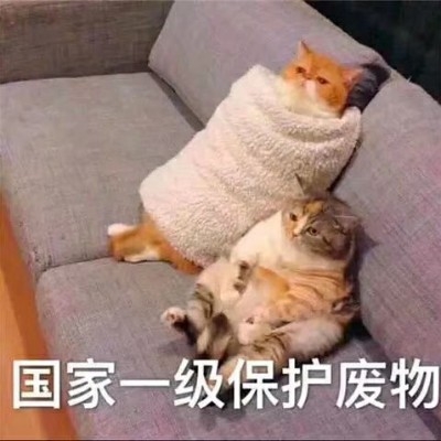 想不通就开导