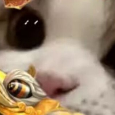 邪恶小猫