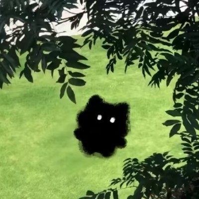 慕枫