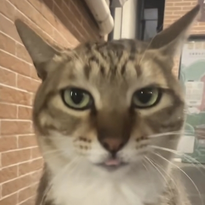 超冰