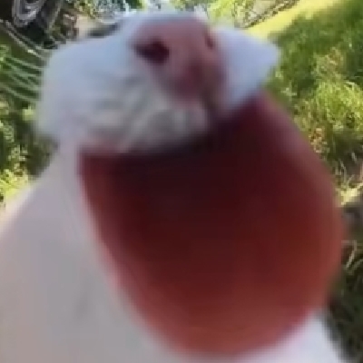 树