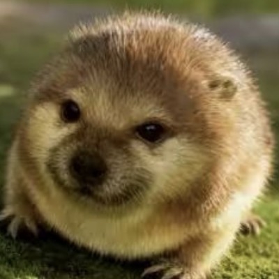 杯子里没水的骗子