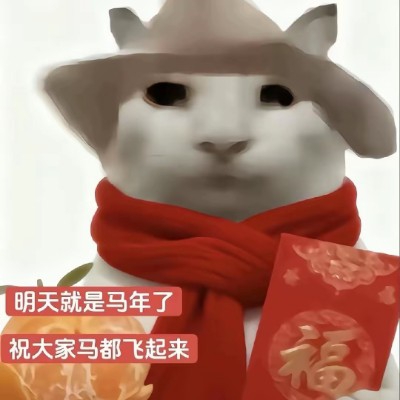 豪猫