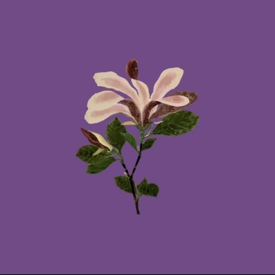 M0RN1NG
