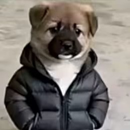农村入