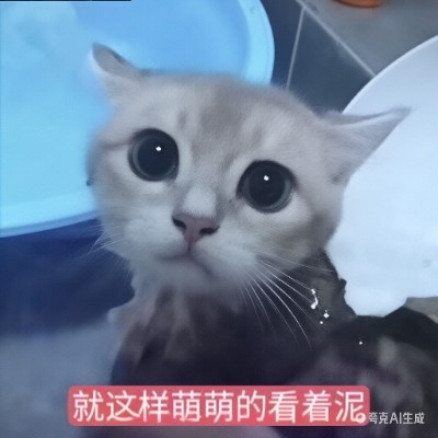 用户38115174