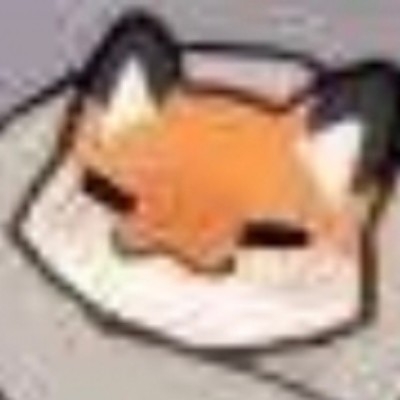 一只巴士小登
