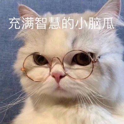 养猪来了