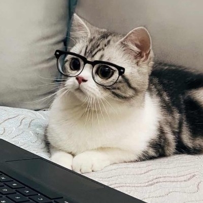 我只看看不说话