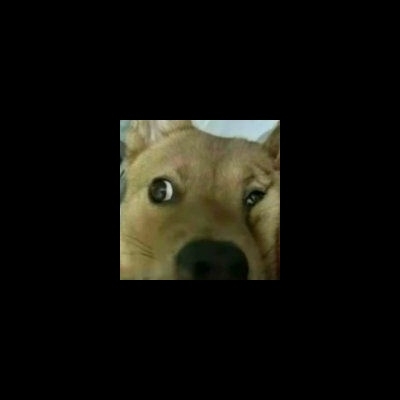 安林