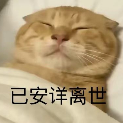 孔哥仁且义，孟哥义且仁