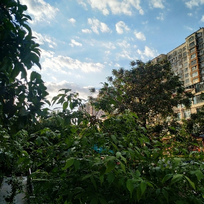 沉默