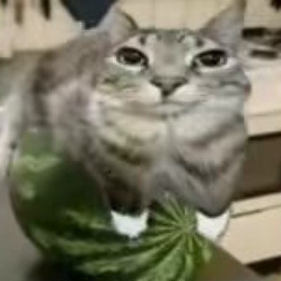 奏