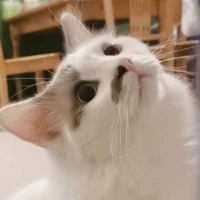 吲哚丁酸乄