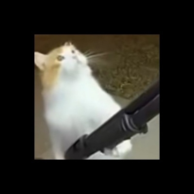 不知道取什么名