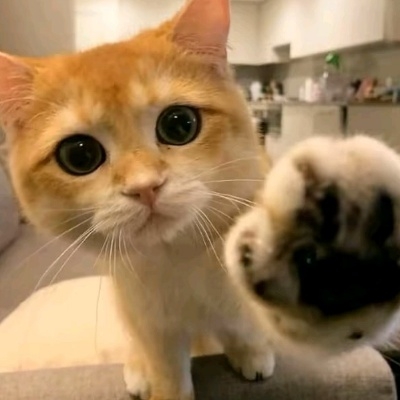 三角洲我的最爱