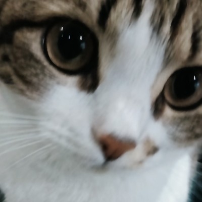 ？？？