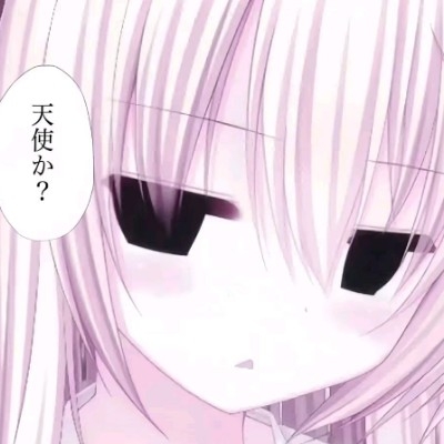 兔