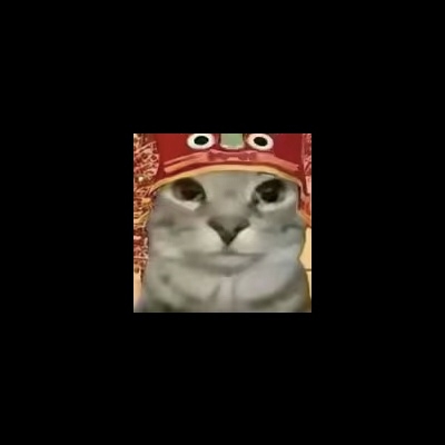 元