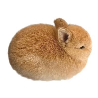 。。。