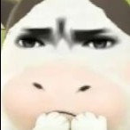 【黑鹰】哈顿中将