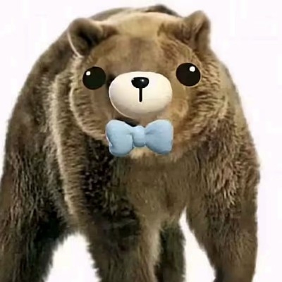 一只愤怒的藏马熊