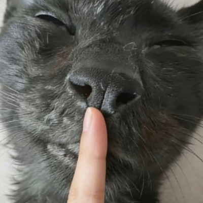 达卅币