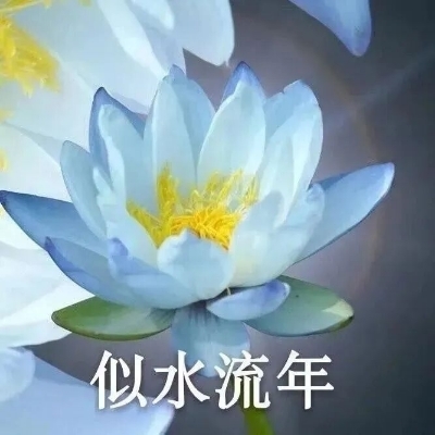 雾里看花