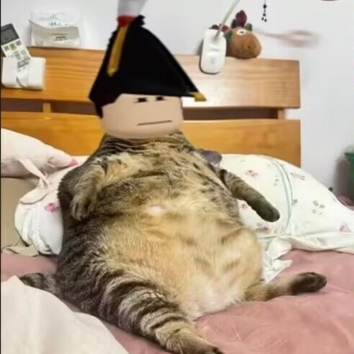 此言差矣