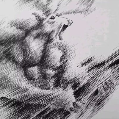 迷茫