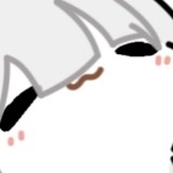 哈基晴